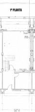 planta-1.jpg